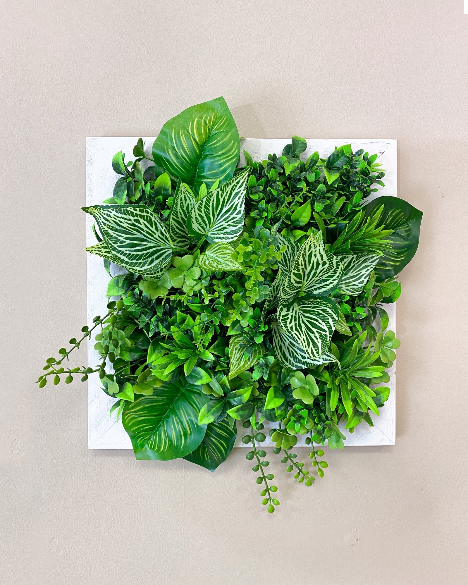 Tiny Frame "PARANA" aus Realtouch Kunstpflanzen mit Fichtenholzrahmen