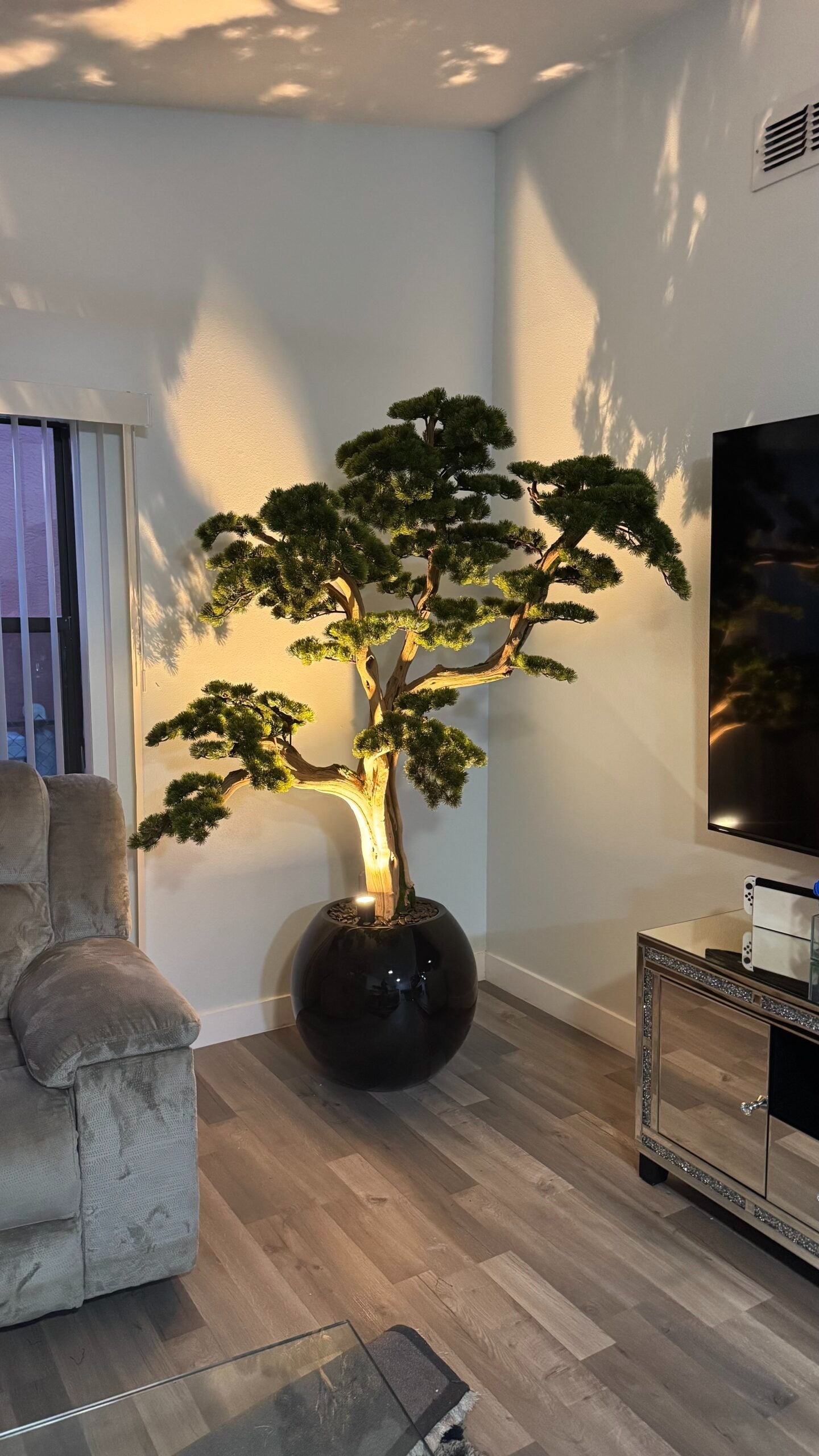 Bonsai „1,80 m“ in einer runden schwarzen Vase