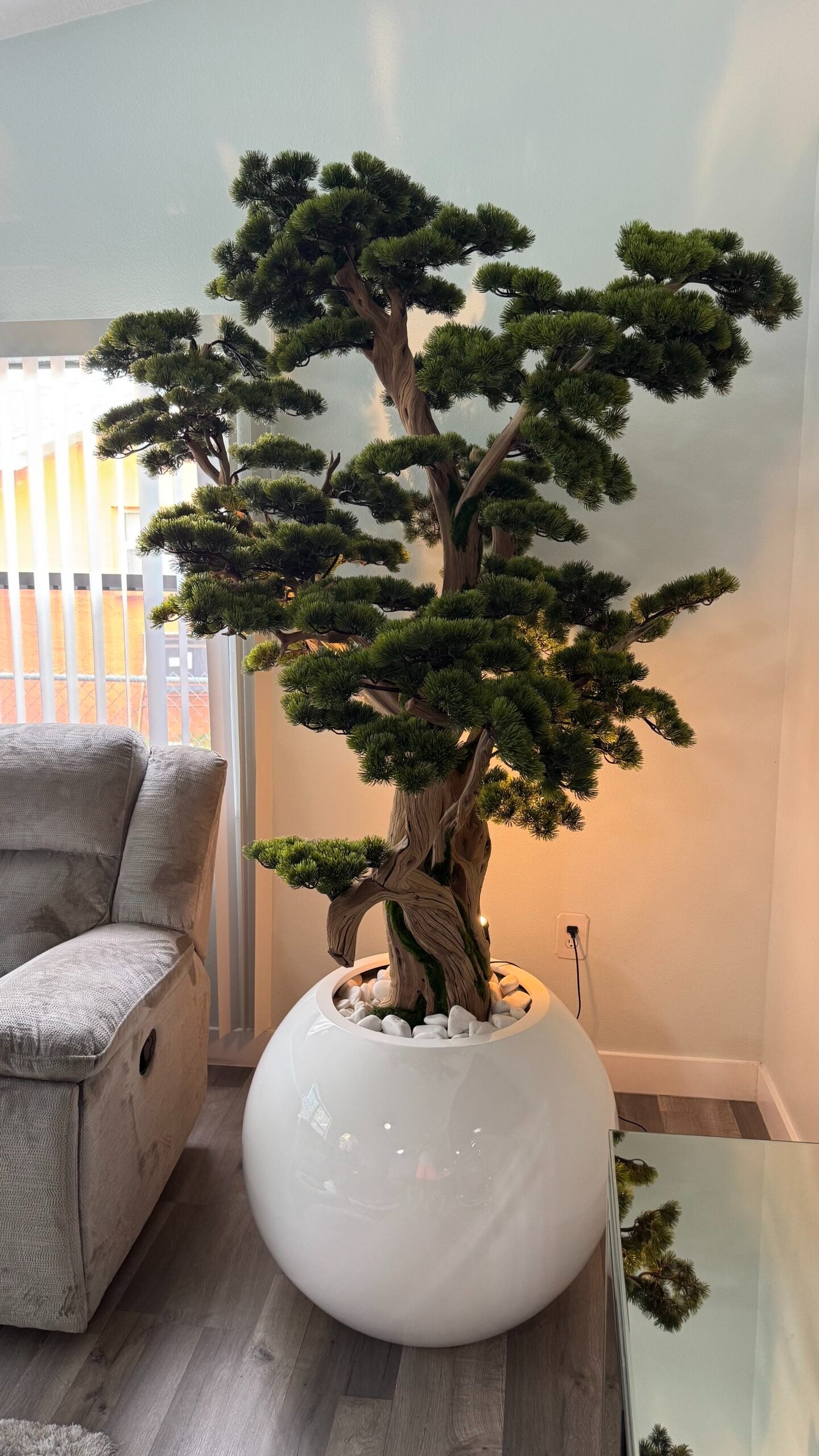 Bonsai „2,4 m“ in einem runden weißen Pflanzgefäß