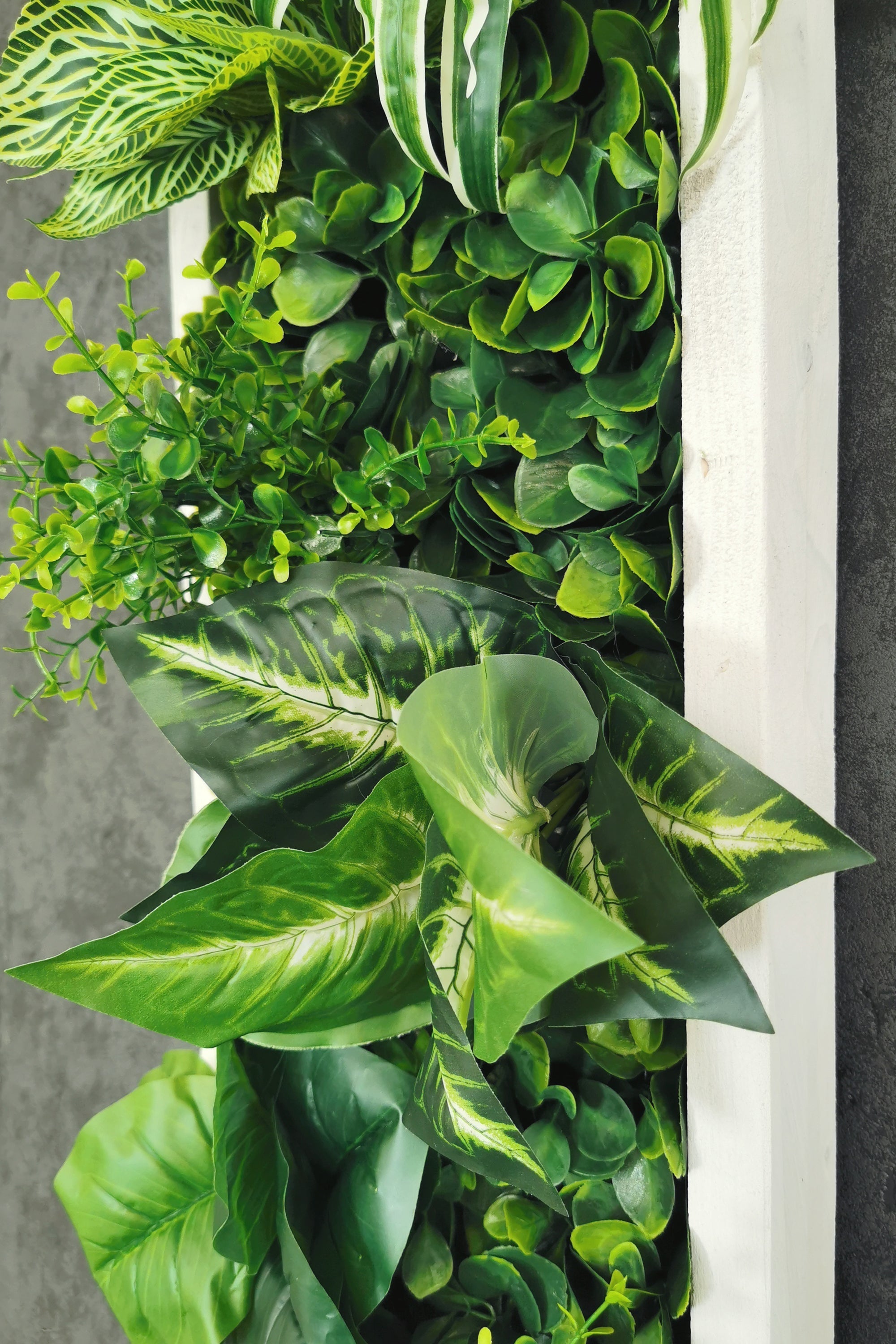 Plantframe/Pflanzenbild/Mooswand "SAMANA" aus Realtouch Kunstpflanzen im Dschungel Design in Fichtenholzrahmen