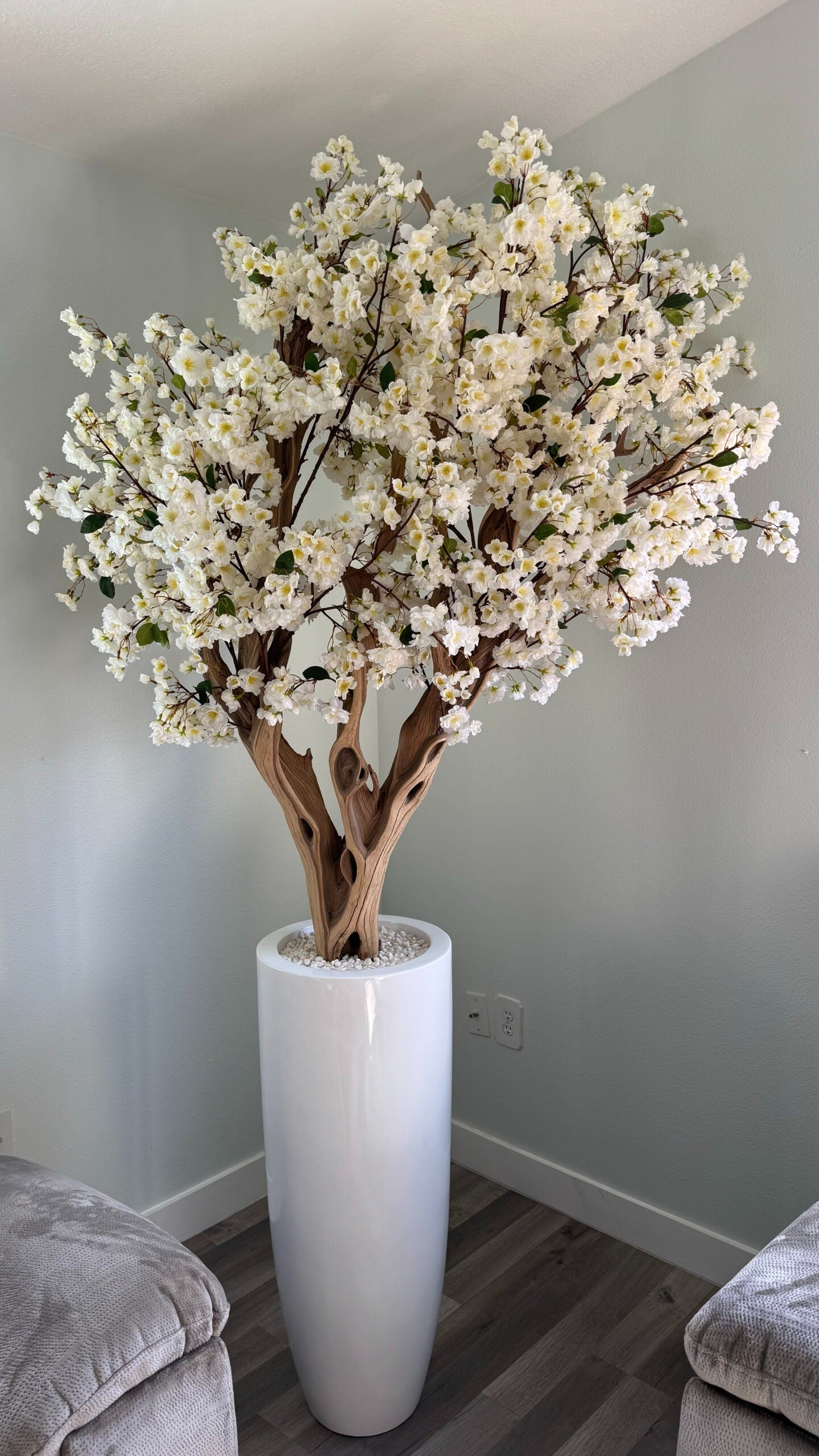 Weiße Kirschblüte in einer hohen weißen Vase