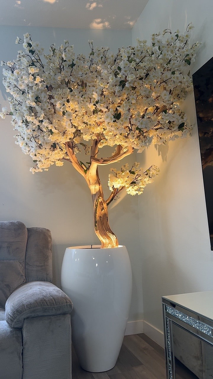 Weiße Kirschblüte „2,13 m“ in einer weißen Vase