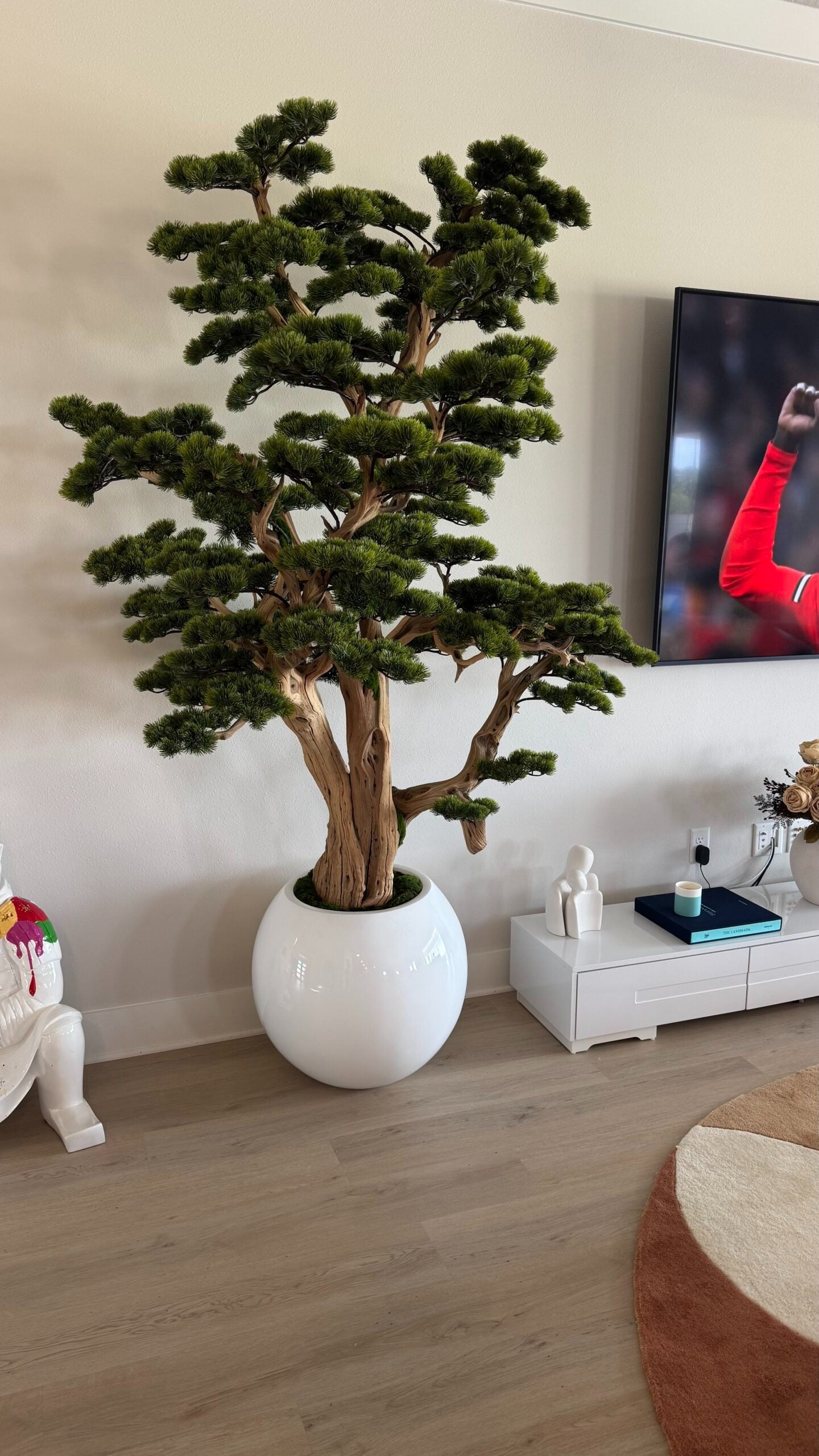 Bonsai in einer runden weißen Vase